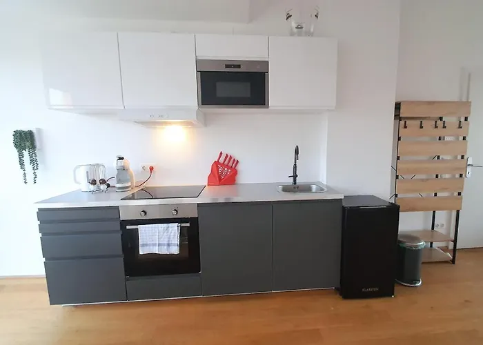 Rooftop Terrace, Free Garage Parking And Pool! Apartman Bécs